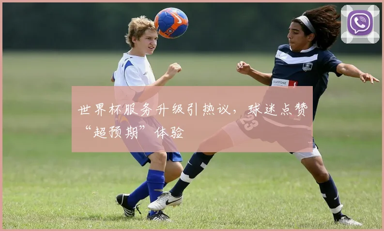 世界杯服务升级引热议，球迷点赞“超预期”体验