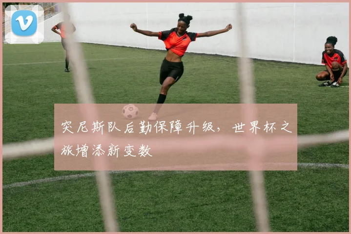 突尼斯队后勤保障升级，世界杯之旅增添新变数