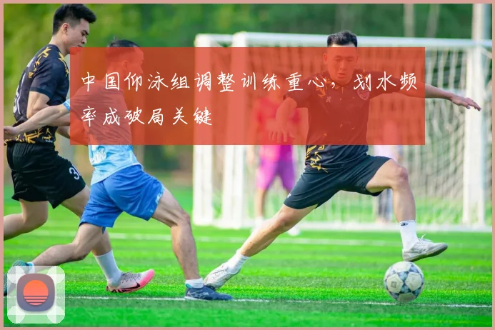 中国仰泳组调整训练重心，划水频率成破局关键